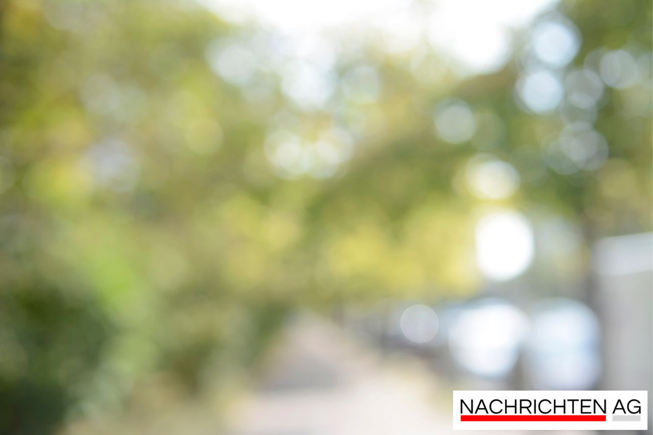 Lichtzauber am Schönbuchturm: Spektakuläre Illumination begeistert Besucher